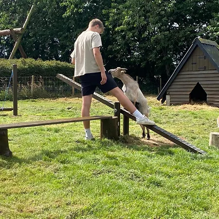 Thommysminde 住宿加早餐酒店 *