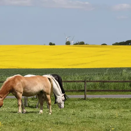 Thommysminde Jelling