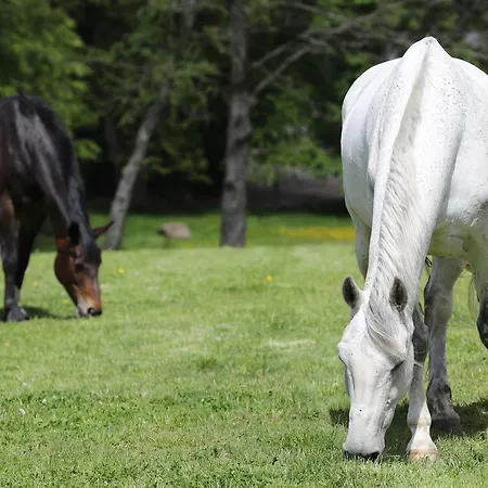 Thommysminde * Jelling