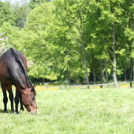 住宿加早餐酒店 Thommysminde Jelling